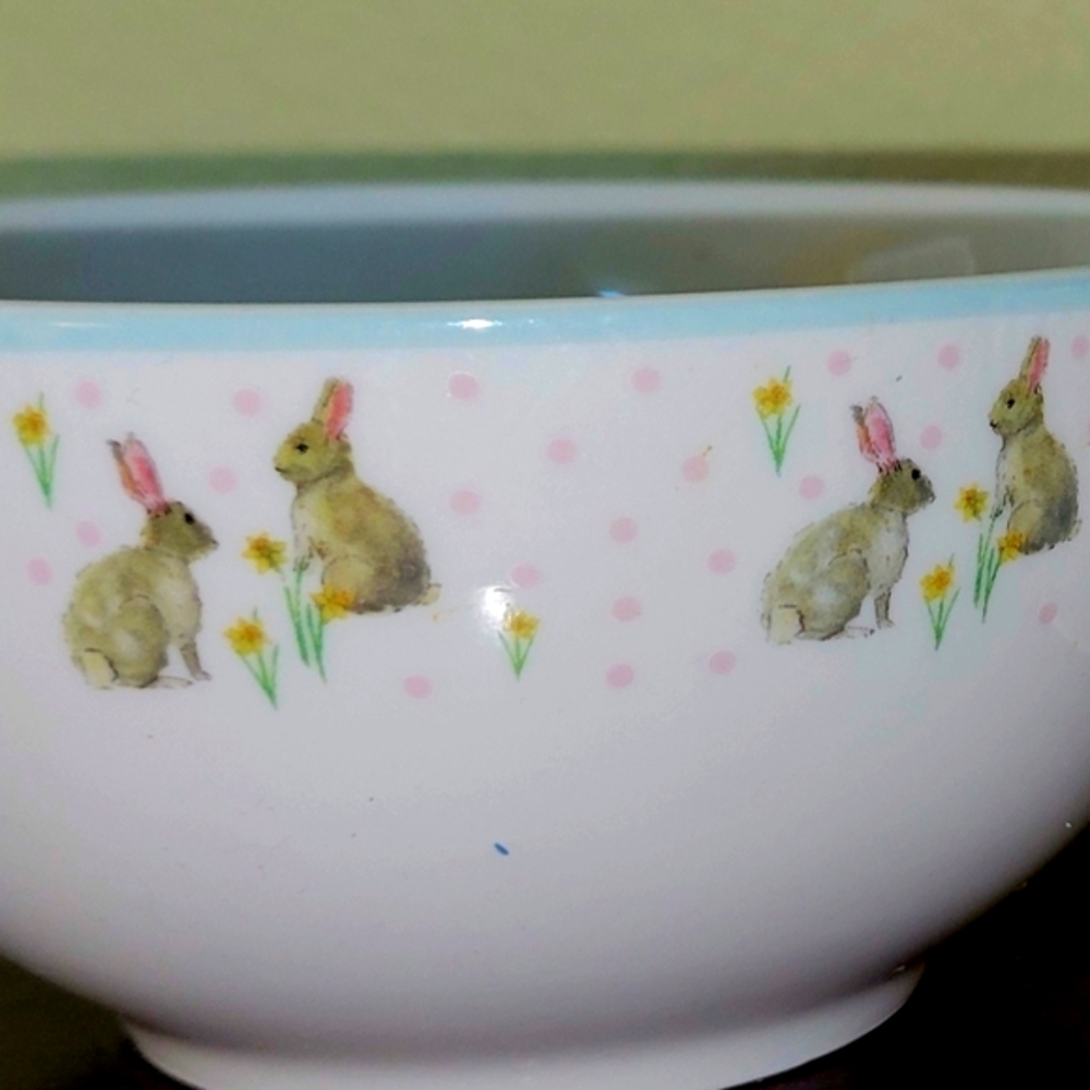 Set Of 2 Cute Bunny Rabbit Design decorative Porcelain bowls